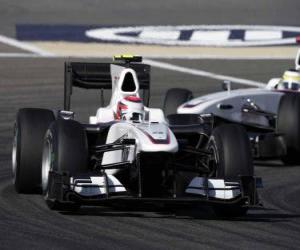 Puzle Kamui Kobayashi - BMW Sauber - Bahrajn 2010