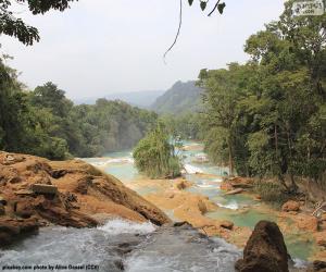 Puzle Kaskády Agua Azul, Mexiko