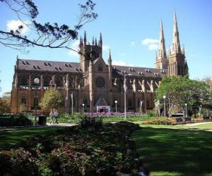 Puzle Katedrála Panny Marie, Sydney, Austrálie
