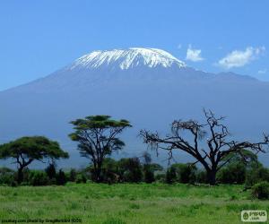 Puzle Kilimandžáro, Tanzanie