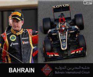 Puzle Kimi Räikkönen - Lotus - 2013 Grand Prix Bahrajnu, svírající klasifikované