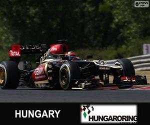 Puzle Kimi Räikkönen - Lotus - Grand Prix Maďarska 2013, svírající klasifikované