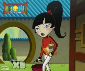 Puzle Kimiko Tohomiko, Xiaolin Drak Ohně, jediná dívka v týmu