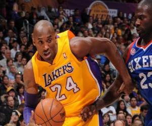 Puzle Kobe Bryant hraje basketbal