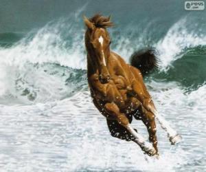 Puzle Koně, co běží na vlnách