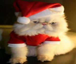 Puzle Kotě oblečený jako Santa Claus