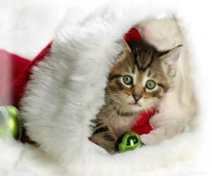 Puzle Kotě v čepici Santa je