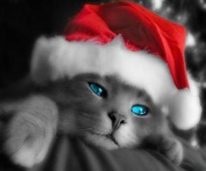 Puzle Kočka slavit Vánoce s kloboukem