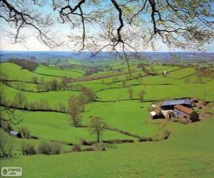 Puzle Krajina z Devon, Velká Británie