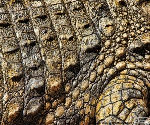 Puzle Krokodýlí kůže