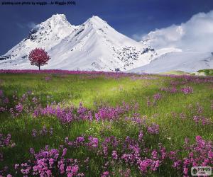 Puzle Krásná scenérie Alp