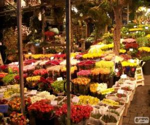 Puzle Květinový trh, Amsterdam, Nizozemsko