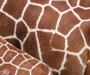 Puzle Kůže žirafy