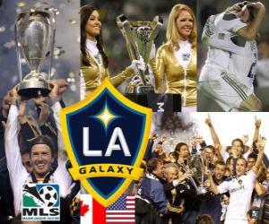Puzle LA Galaxy, 2011 MLS šampion