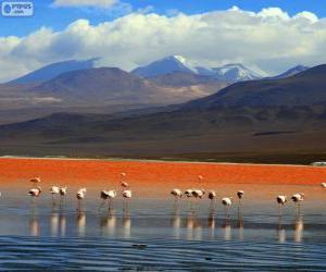 Puzle Laguna Colorada, Bolívie