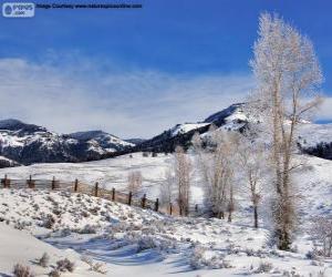 Puzle Lamar Valley, Yellowstonský národní Park, Wyoming, Spojené státy americké