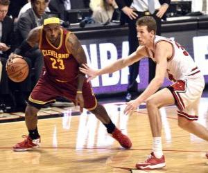 Puzle LeBron James hraje basketbal