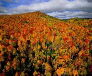 Puzle Les v Quebec, Kanada