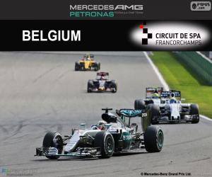 Puzle Lewis Hamilton, Grand Prix Belgie 2016