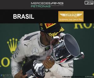 Puzle Lewis Hamilton, Grand Prix Brazílie 2016