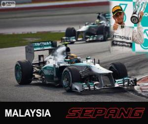 Puzle Lewis Hamilton - Mercedes - Grand Prix Malajsie 2013, 3 klasifikované