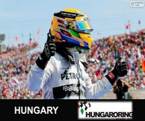 Puzle Lewis Hamilton slaví vítězství v Grand Prix Maďarska 2013