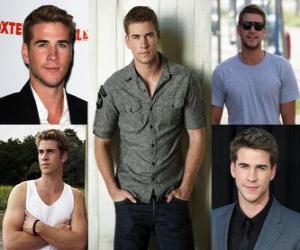 Puzle Liam Hemsworth je australský herec