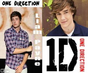 Puzle Liam Payne, One Direction