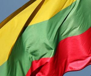 Puzle Litevská vlajka