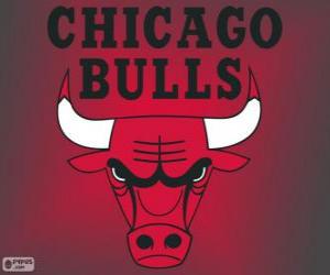 Puzle Logo Chicago Bulls, NBA tým. Centrální Divize, Východní konference