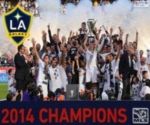 Puzle Los Angeles Galaxy, šampion MLS 2014