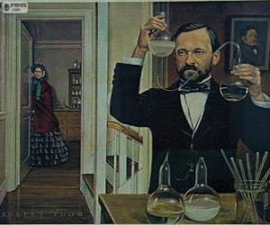 Puzle Louis Pasteur (1822-1895) byl francouzský chemik