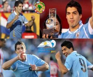 Puzle Luis Suarez nejlepší hráč na Copa America 2011