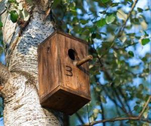 Puzle Malý dům ze dřeva pro ptáky na jaře