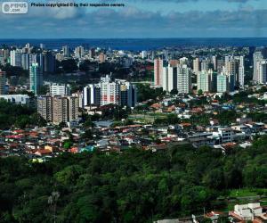 Puzle Manaus, Brazílie