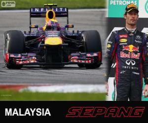Puzle Mark Webber - Red Bull - Grand Prix Malajsie 2013, svírající klasifikované