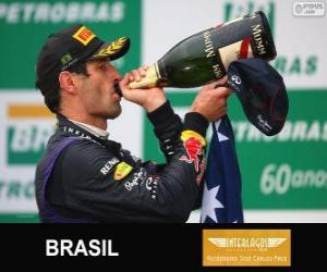 Puzle Mark Webber - Red Bull - Grand Prix Brazílie 2013, svírající klasifikované