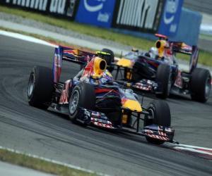 Puzle Mark Webber - Red Bull - Istanbul 2010