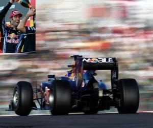Puzle Mark Webber - Red Bull - Suzuka 2010 (2 utajovaných º)