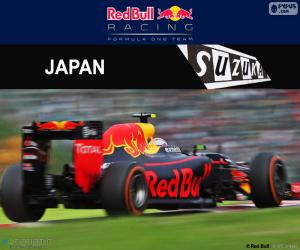 Puzle Max Verstappen, Grand Prix Japonska 2016