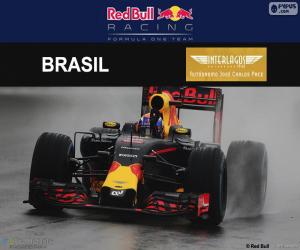 Puzle Max Verstappen, Grand Prix Brazílie 2016