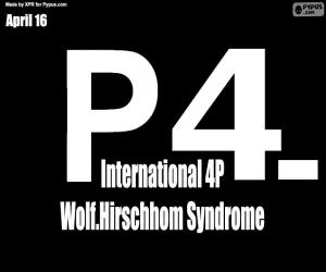Puzle Mezinárodní 4p-/Wolf-Hirschhornův syndrom