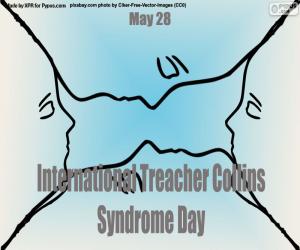 Puzle Mezinárodní den Collinsova syndromu