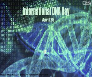 Puzle Mezinárodní den DNA