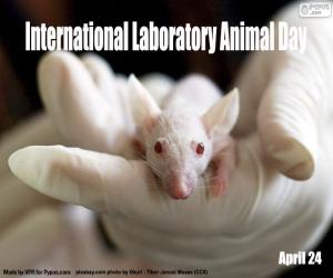 Puzle Mezinárodní den laboratorních zvířat