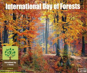 Puzle Mezinárodní den lesů
