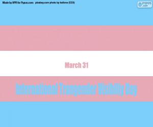 Puzle Mezinárodní den viditelnosti transsexuálů