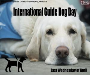 Puzle Mezinárodní den vodicích psů