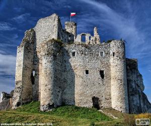 Puzle Mirów hrad, Polsko