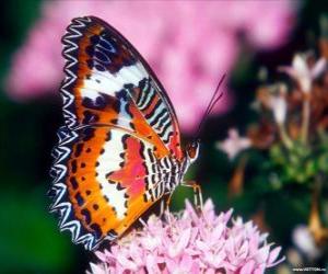 Puzle Motýl na květu